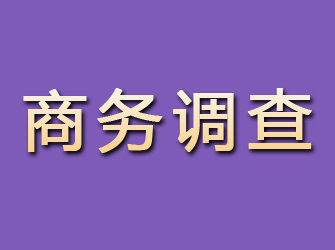 阿坝商务调查